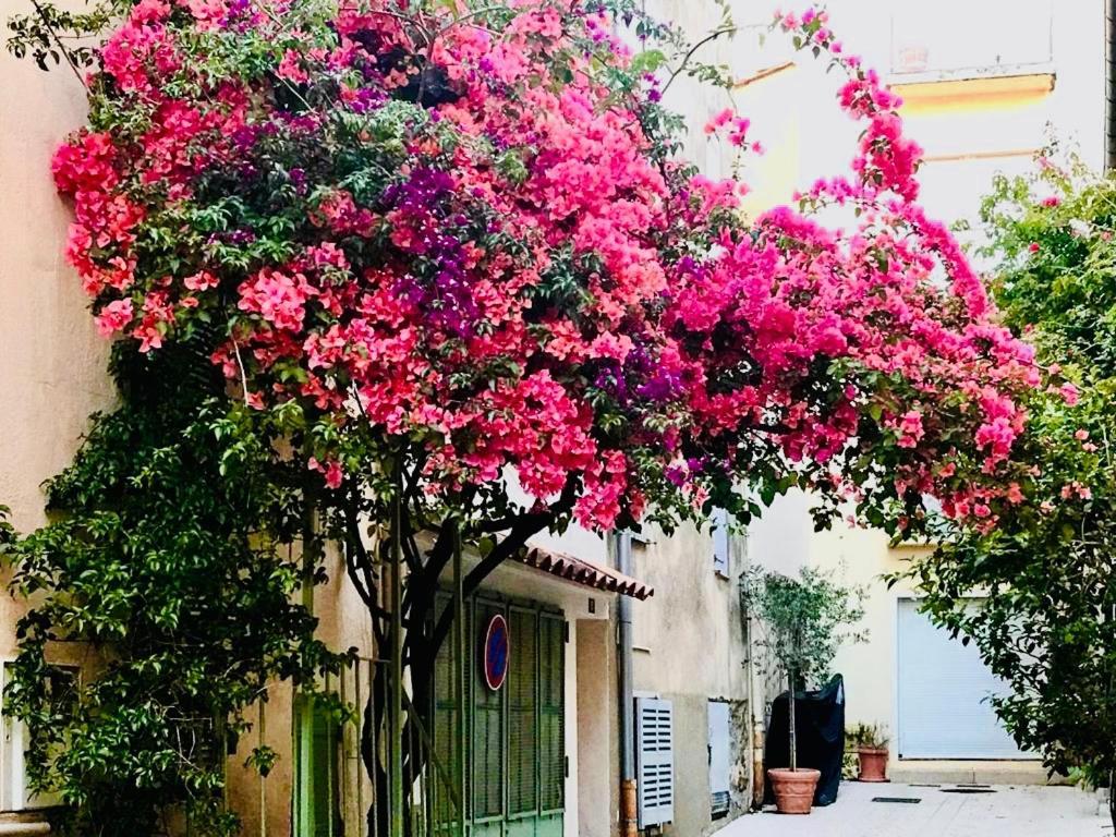 Le Caillou A La Ponche St Tropez Apartment Saint-Tropez Exterior photo